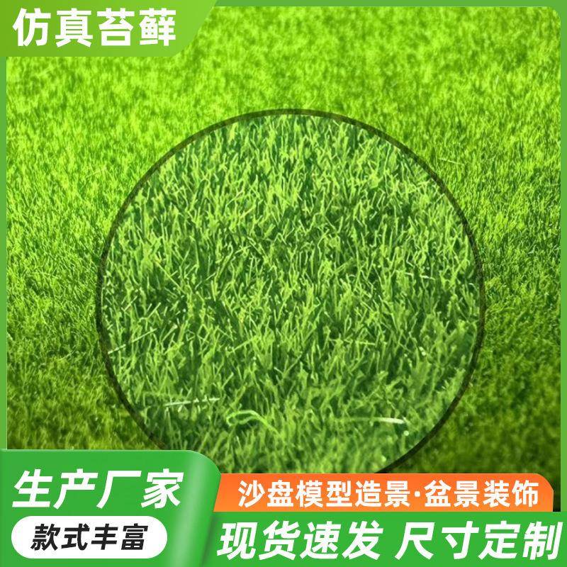仿真苔藓绿色青苔草坪仿真草皮背景墙橱窗盆景绿植装饰人造假青苔