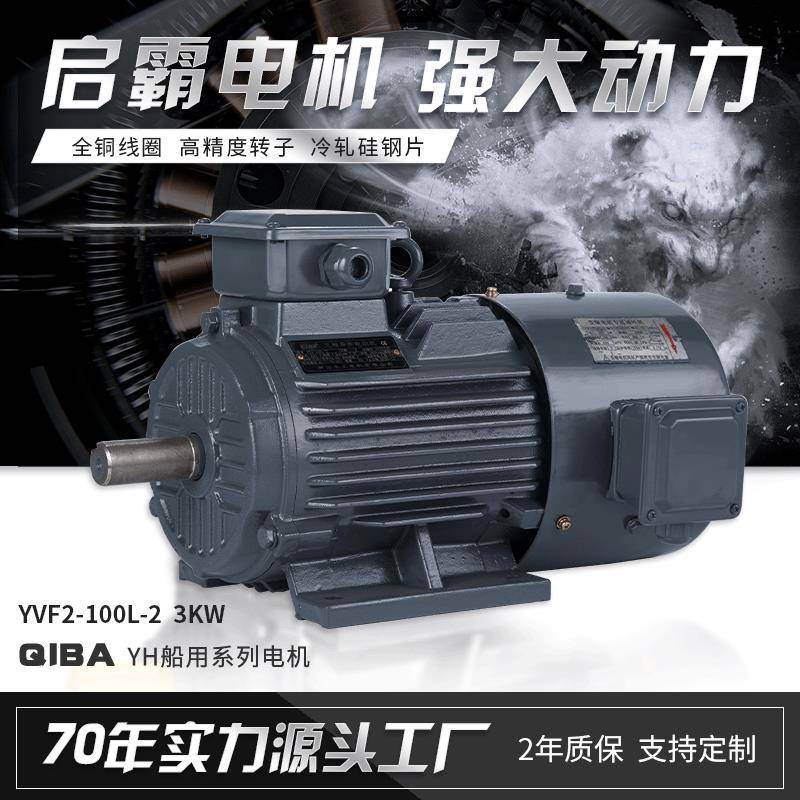 YVF三相异步电动机2极/4极/6极3W变频电机380V调速变频电动机