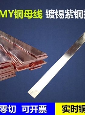 定制镀锡铜排排接地MYT26810304050608F0100125mm紫铜镀锡6*30mm1