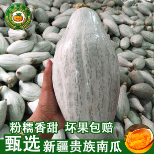 新疆原产地正宗贵族南瓜9斤装沙漠银板栗贝贝老南瓜粉糯宝宝辅食