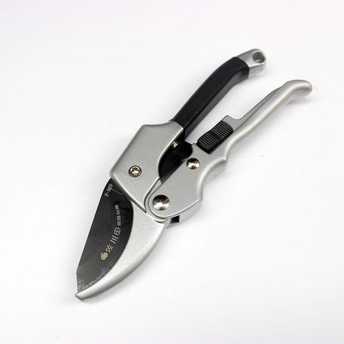 台湾原装修枝剪花艺园林粗枝省力剪刀果树摘果树枝修剪刀园艺工具