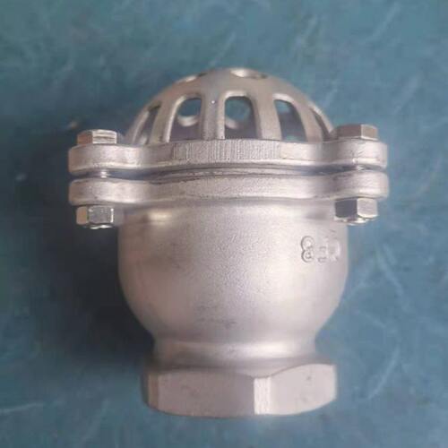 DN100/80/65/50/125/150/200底阀止回阀升降