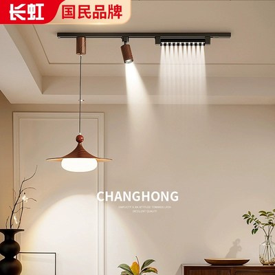 餐厅轨道吊灯2025新款复古法式中古风飞碟喇叭可移动餐桌吧台灯具