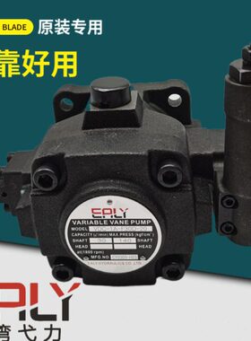 台湾EALY弋力VDC-1A-F30D-20叶片油泵F40D F25D F20D-20/9T A B C