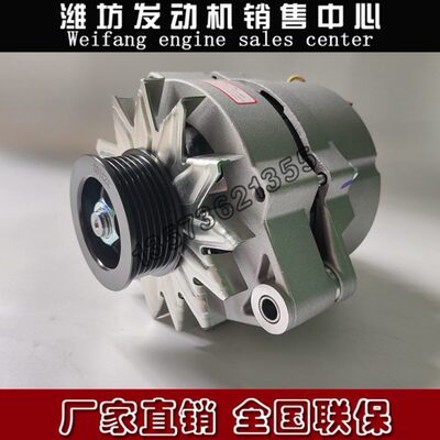 潍柴动力WP10WP12WP13船用柴油发动机原车配件1002029740发电机