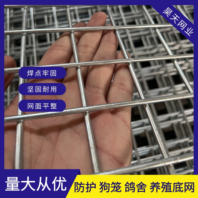 加粗镀锌铁丝电焊网片家用鸡狗鸟兔笼钢丝网格养殖围栏防护隔离网