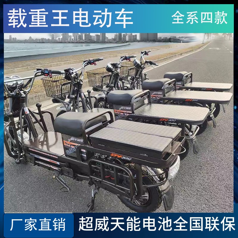 载重王电动瓶拉货型送餐大力神长跑爬坡两轮高速续航摩托车可上牌