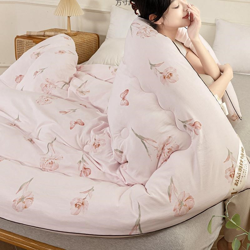 棉冬被加厚保暖1k2斤丝绵被冬季羽丝绒太空被学生宿舍被芯双人棉