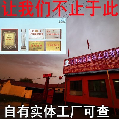 草坪栏杆水泥仿木护栏木纹栅栏庭院D围栏市政绿化公园小区草坪围1