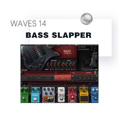 音音WAVE 4弦Bass色拍 Sl 源 插件贝斯apperS1