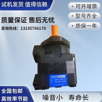ENISON丹尼逊叶片泵SDV20 1B13B 1A/1B12B/1B11B/1B10B 11A油泵