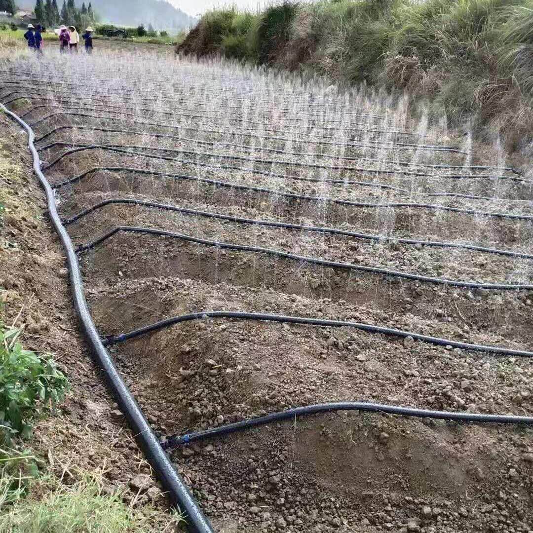 夏季农用喷灌带抗老化微喷带软管主管雾化节水浇地自动浇水器全套