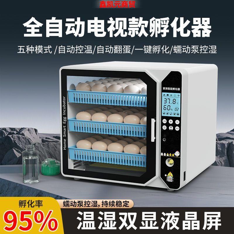 全自动智能电视款鸡鸭鹌鹑孵蛋器鹦鹉鸽子孵化机芦丁鸡
