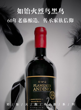 醉鹅娘金狮酒庄珍藏黑鸟智利原瓶进口西拉赤霞珠卡曼尼5L葡萄酒