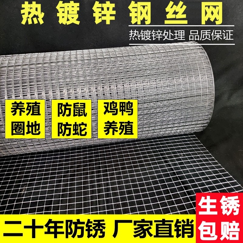 热浸镀锌防锈铁丝网鸡鸭鸽兔围栏钢丝网格防鼠蛇笼养殖网圈地防护
