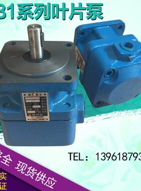 1.20Y/B-050/Y40/-16/.10B/6-25/62.51/12B1/5/Y3243/10叶片泵//