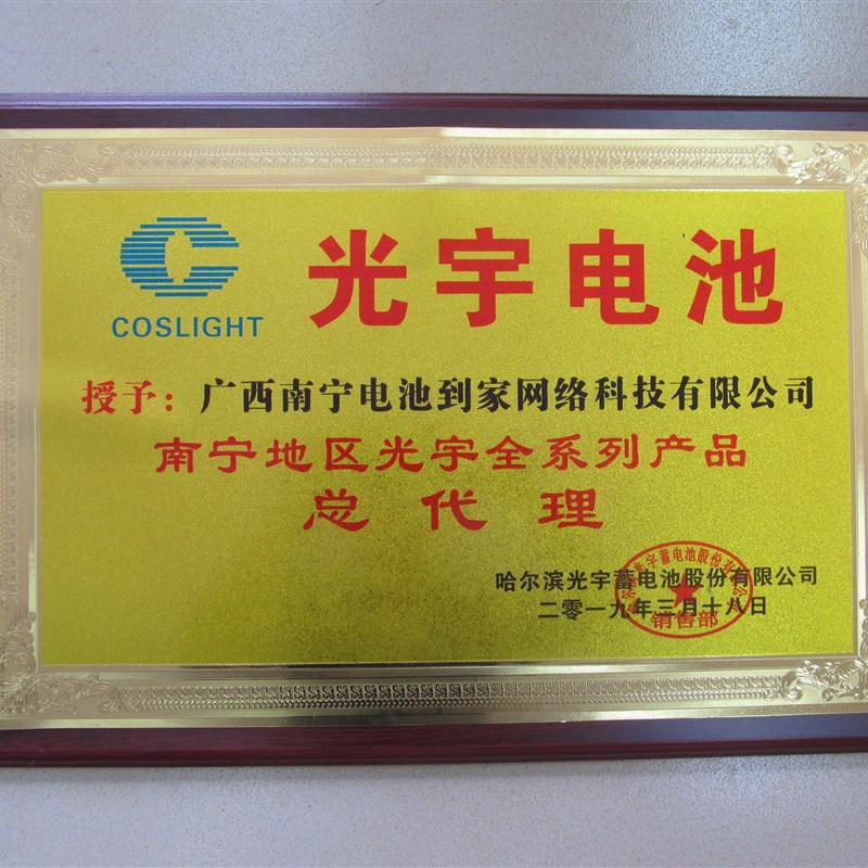 光宇60V20-22AH72V48V12A32A胶体黑金长跑王电动车电池电瓶
