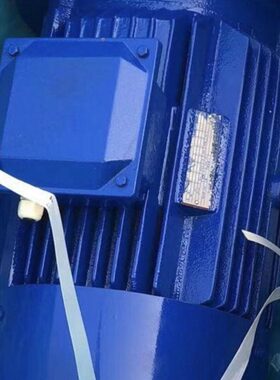 家L9电机AM04521意大利TM0货0厂0发W