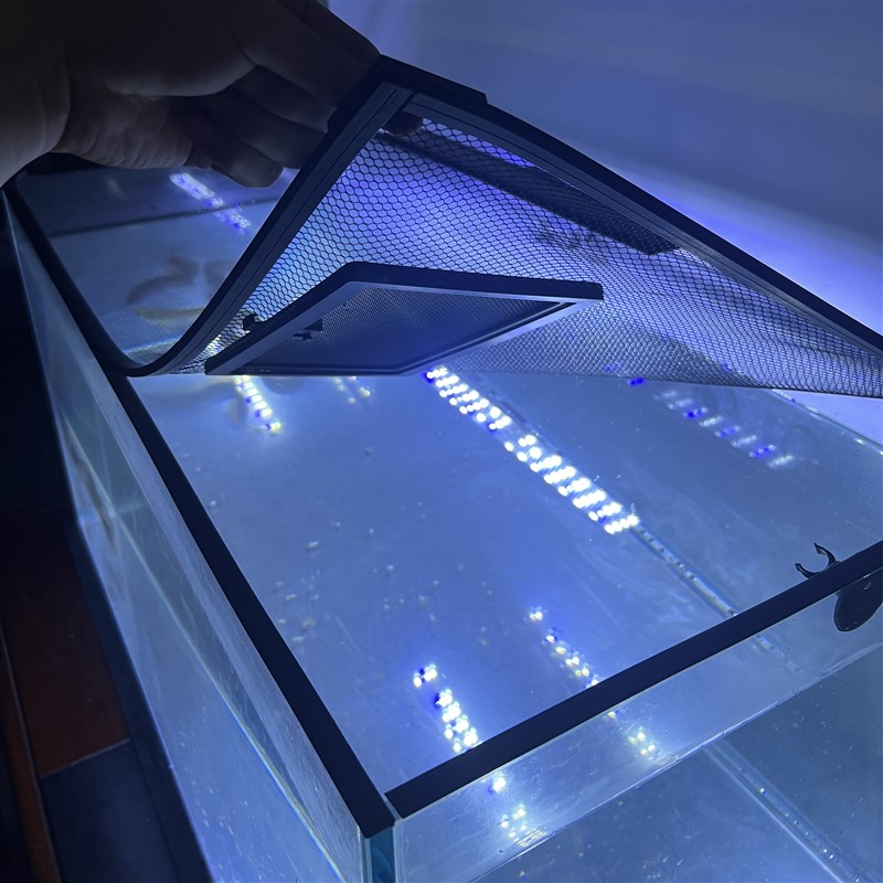 新款加装投喂装置鱼缸防跳网加厚磁条磁吸防逃盖雷龙防跳网防乌龟