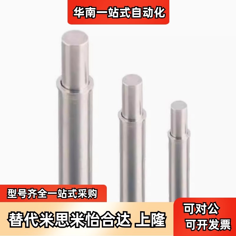 ZAS12-D1.5/D2/D3/D4/D5-H1.5/H3/H4/H6M/H8/H9/H12小径弹簧柱塞