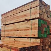 木杉铁垫户外路枕桥梁木支吊车防腐木地板货车木腿木三角火车木方