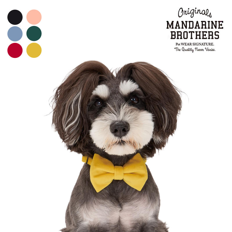 MANDARINE BROTHERS宠物领结领带装扮户外活动项圈多色猫狗用