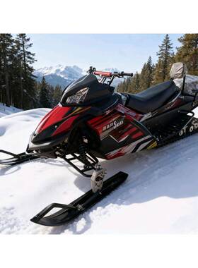 200cc雪地摩托车沙滩车ATV越野车四轮全地形车UTV两轮雪地车