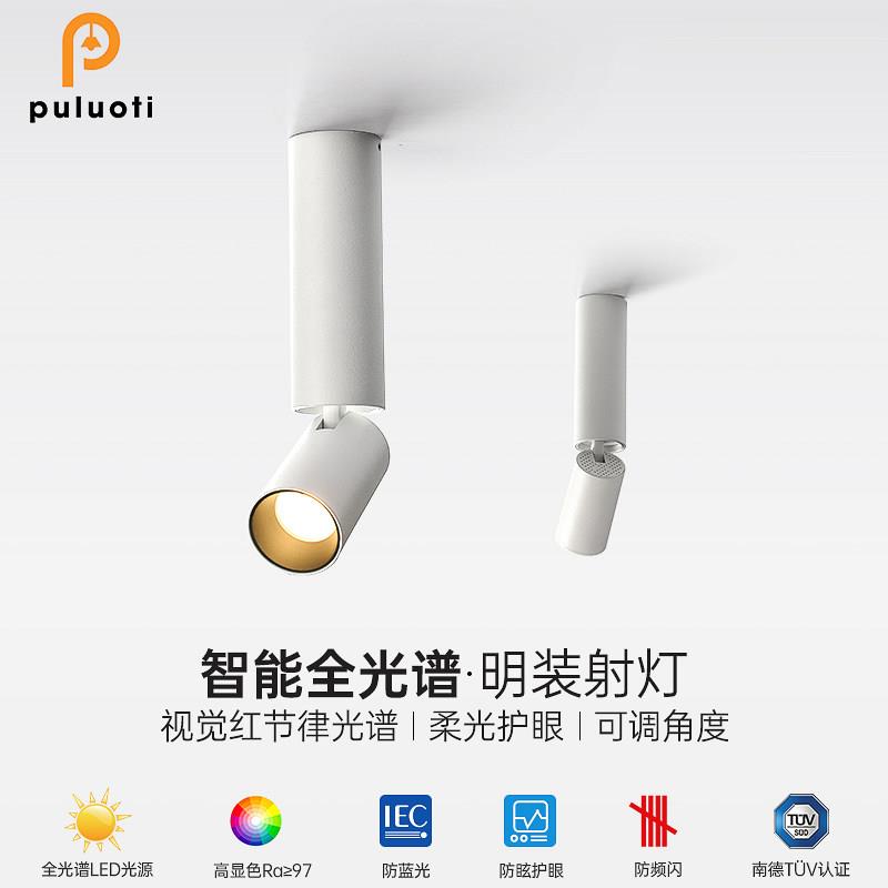 普洛缇天花板灯led吸顶射灯客厅无主灯明装可调角度聚光洗墙防眩