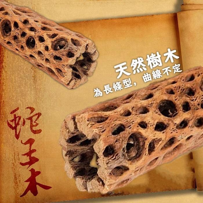 蛇王木仙人掌水晶虾苏虾异形寄居蟹空凤植物蜂窝木沉木造景装饰