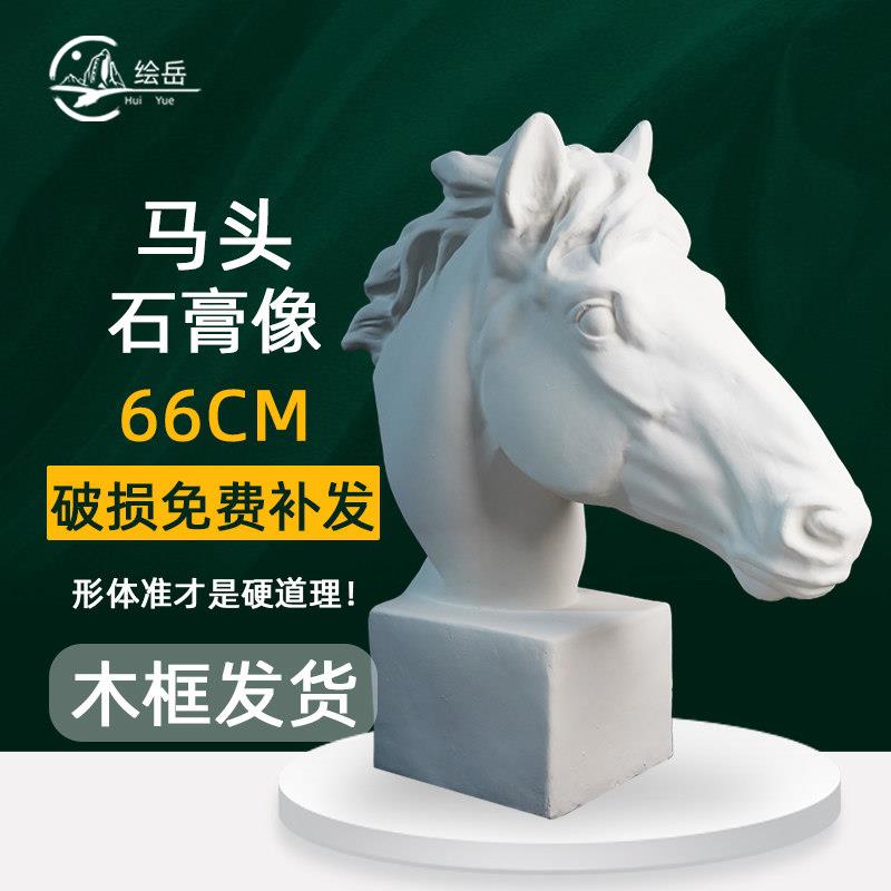 绘岳66cm马头美术石膏动物头像素描石膏像写生静物美术室配套器材