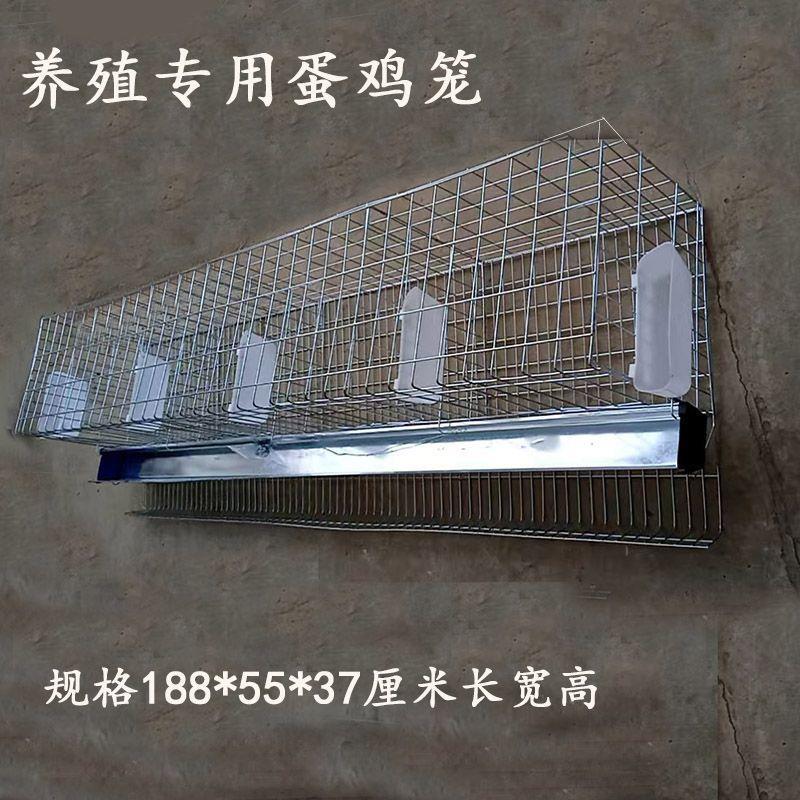 蛋鸡笼下蛋产蛋笼三层加粗鸡笼子养殖场专用自动滚蛋笼大号家用笼