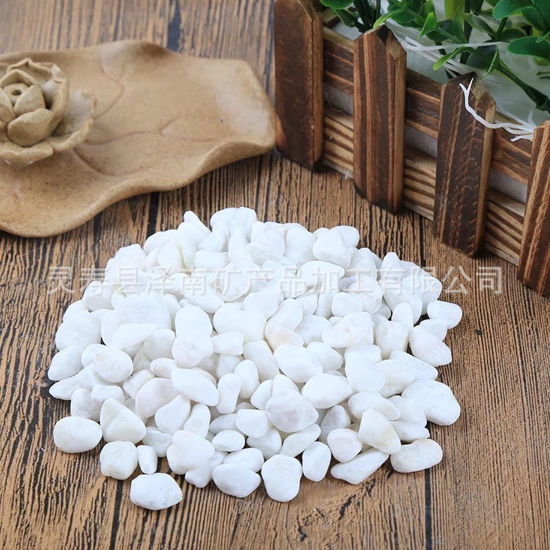 多肉铺面白色机制鹅卵石水磨B石园艺鱼缸装饰白石子量大价优