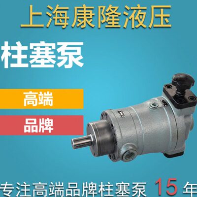 0云///40轩100Y/0/1016销/BSC/8/132316轴向柱塞泵146/250上海-25