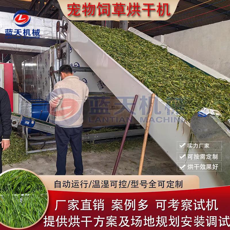 提摩西草烘干设备 网带宠物饲草烘干机 燕麦草大麦草苜蓿草干燥机