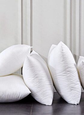 芯克重靠垫抱枕芯350压缩pp棉高饱满格规x48真空无纺布弹靠枕48量