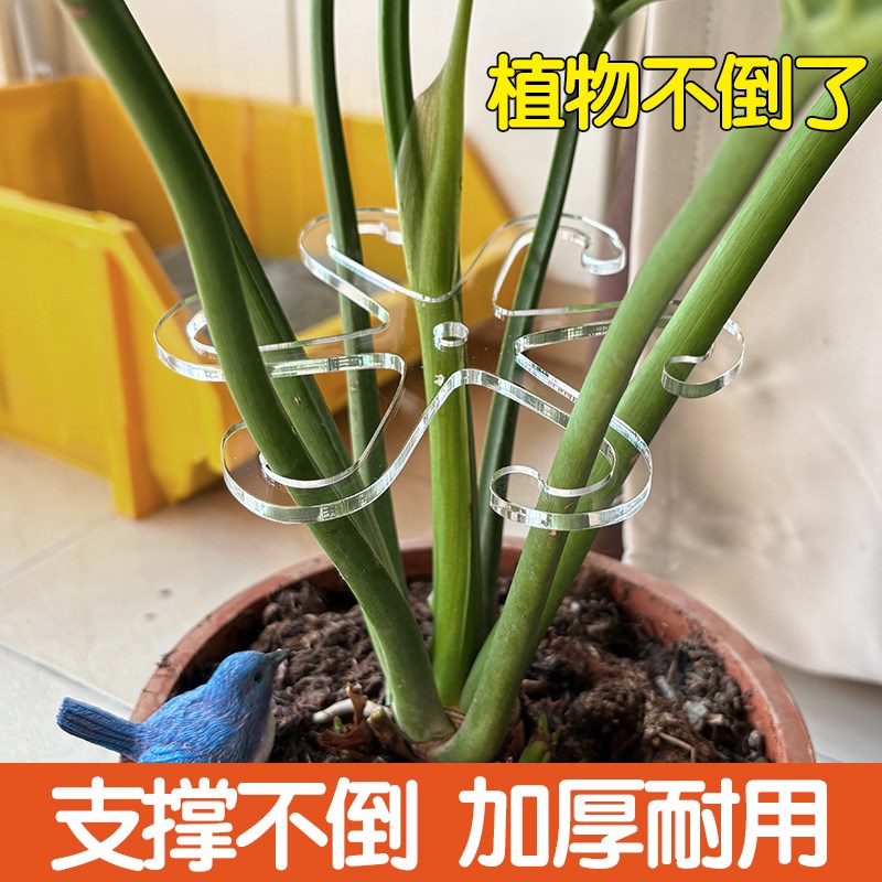 植物支架龟背竹支撑杆春s羽水培绿植物防倒伏收拢架园艺绿植固定