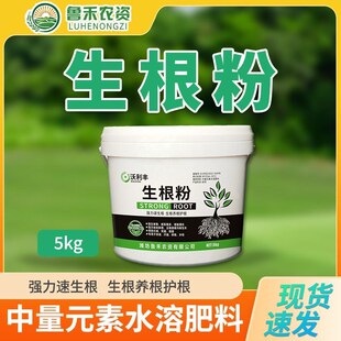 沃利丰生根粉扦插树苗生根多肉树套餐桶装生根P粉爆根通用植物进