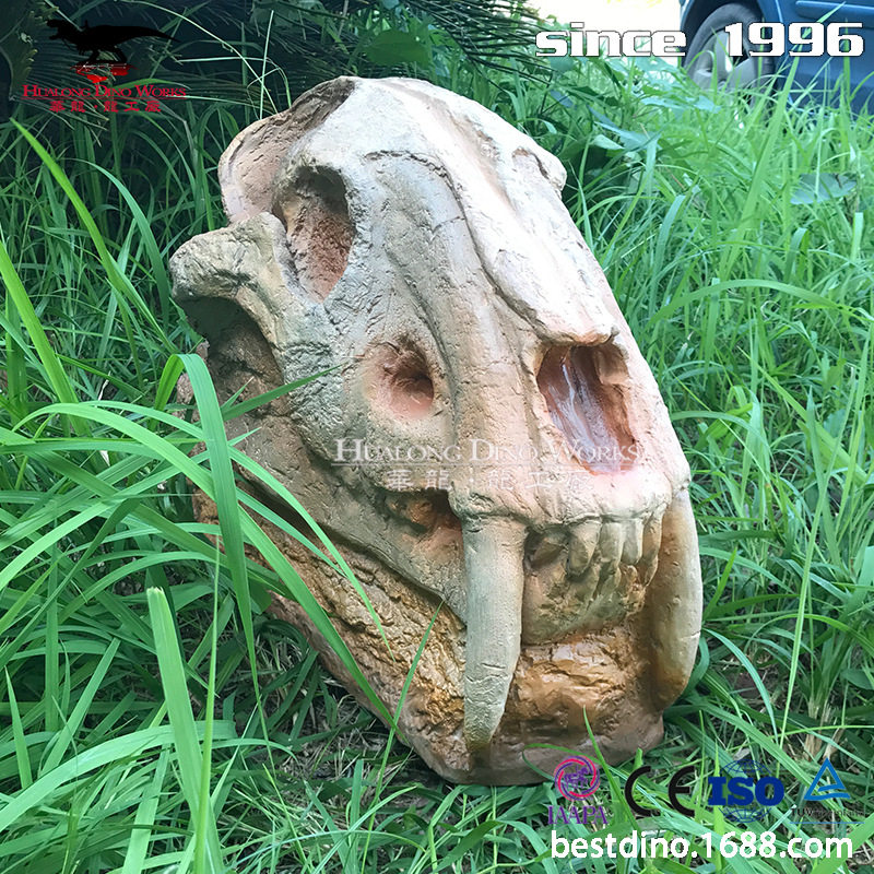 玻璃钢工艺27年生产经验恐龙骷颅头头骨模型标本仿真动物头骨摆件