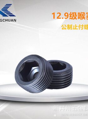 孔喉塞 .装钢只螺丝牙10机合金米P 级5G1现货12.9川止付新盲井