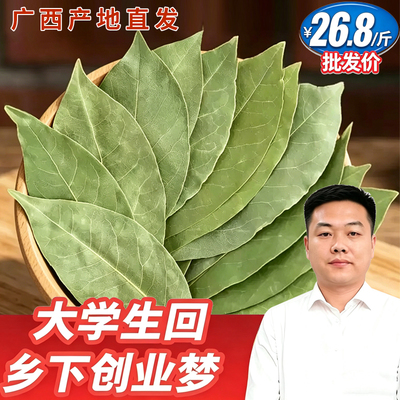 广西香叶天然月桂叶精选香料500g卤料调料商用可粉料另售桂皮八角