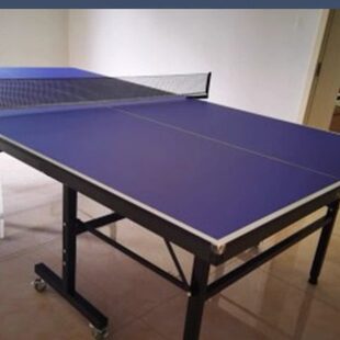桌专业移动训练案乒乓标准乒乓球台可折叠兵乓球桌桌子乒乓球室内