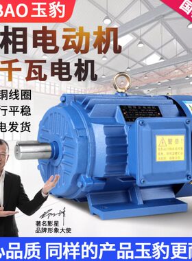 /22千38K18/37全铜电机11/55/15/5/V/45030三相异步电动机瓦.W