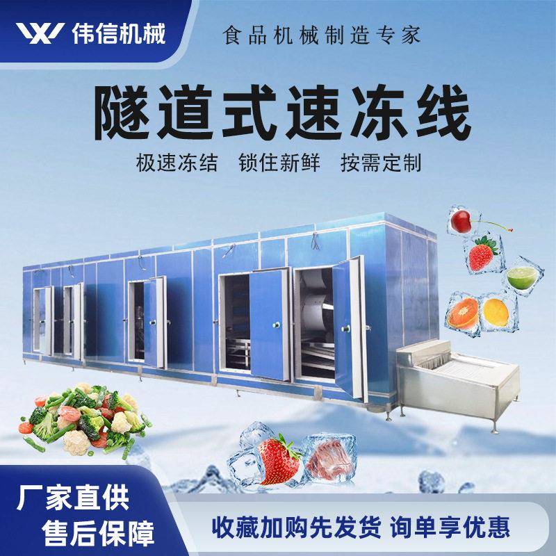 大型连续式速冻机杨梅荔枝浆果类隧道速冻机