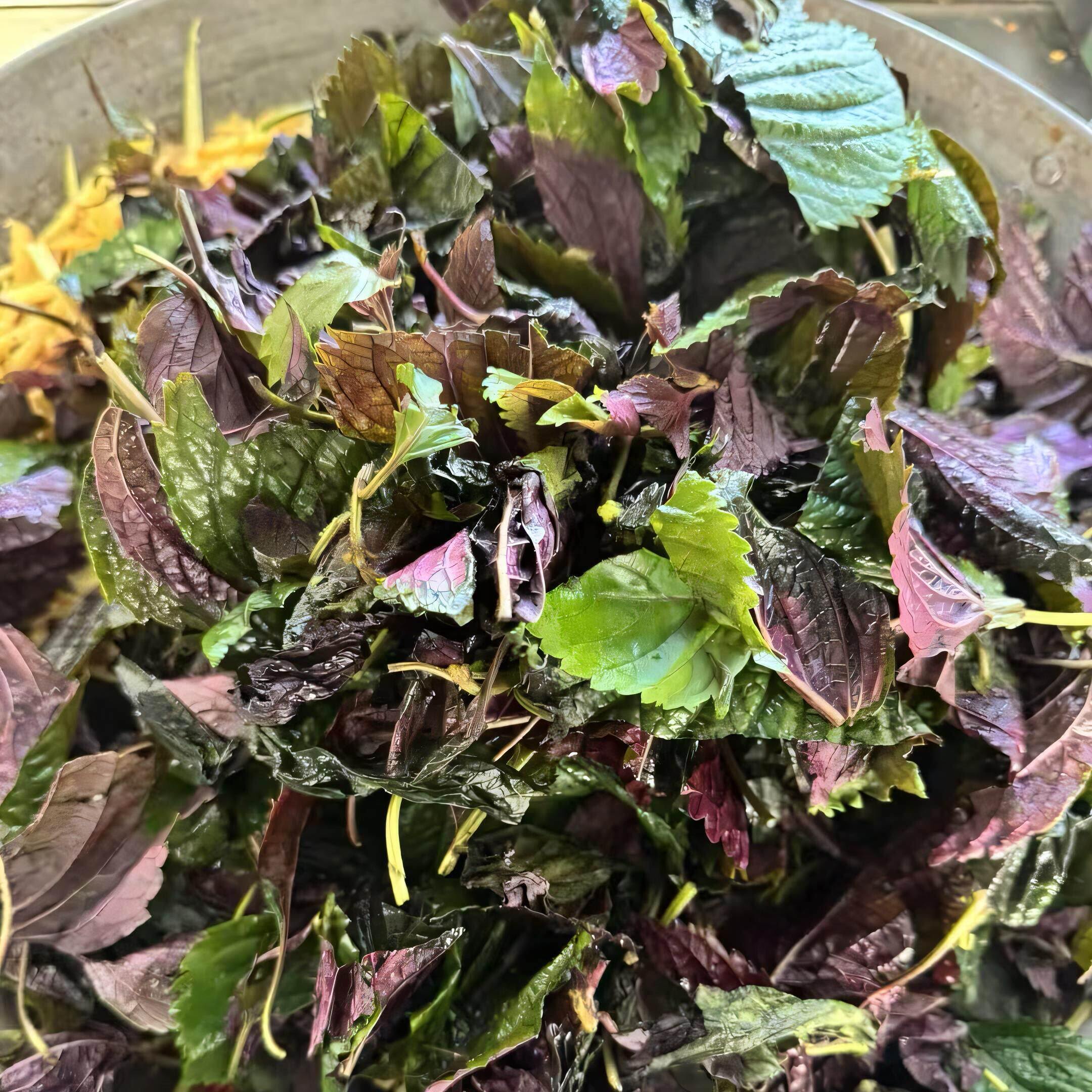 紫苏姜米茶陈皮红枣丝炒泡