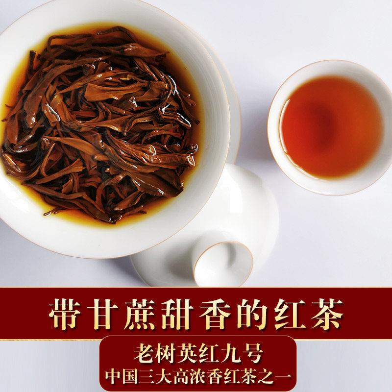 英德红茶英红九号春芽浓香型奶茶店餐厅商用红茶叶广东特产功夫茶