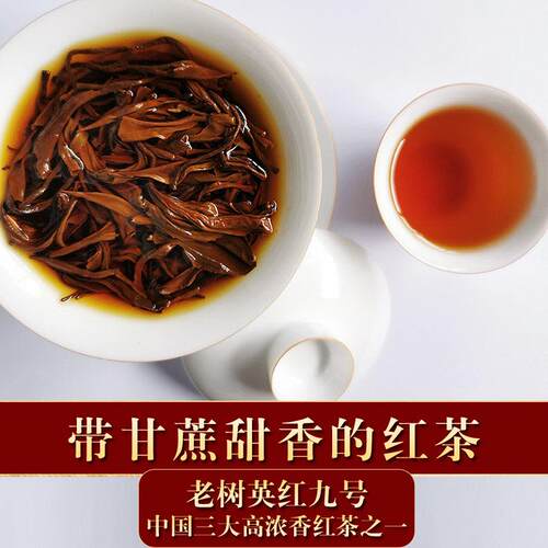 英德红茶英红九号春芽浓香型奶茶店餐厅商用红茶叶广东特产功夫茶