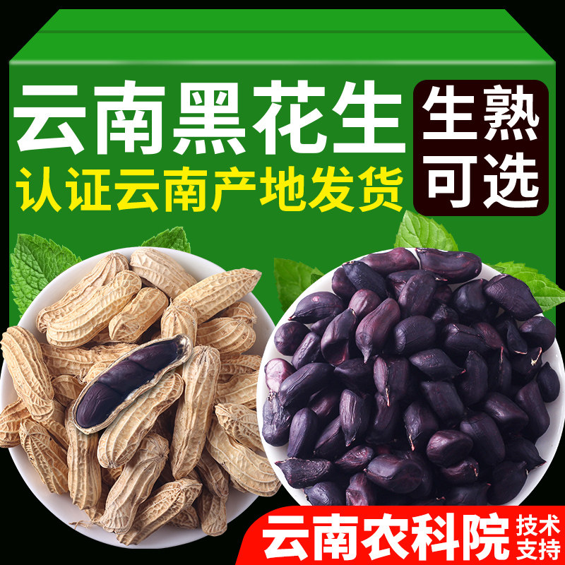 新货云南黑花生带壳的原味