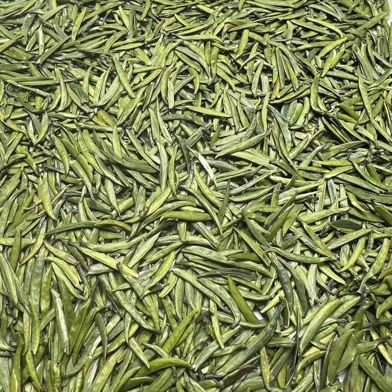 2025年新茶上市万源大巴山明前雀舌茶春茶绿茶4克小袋现炒现卖