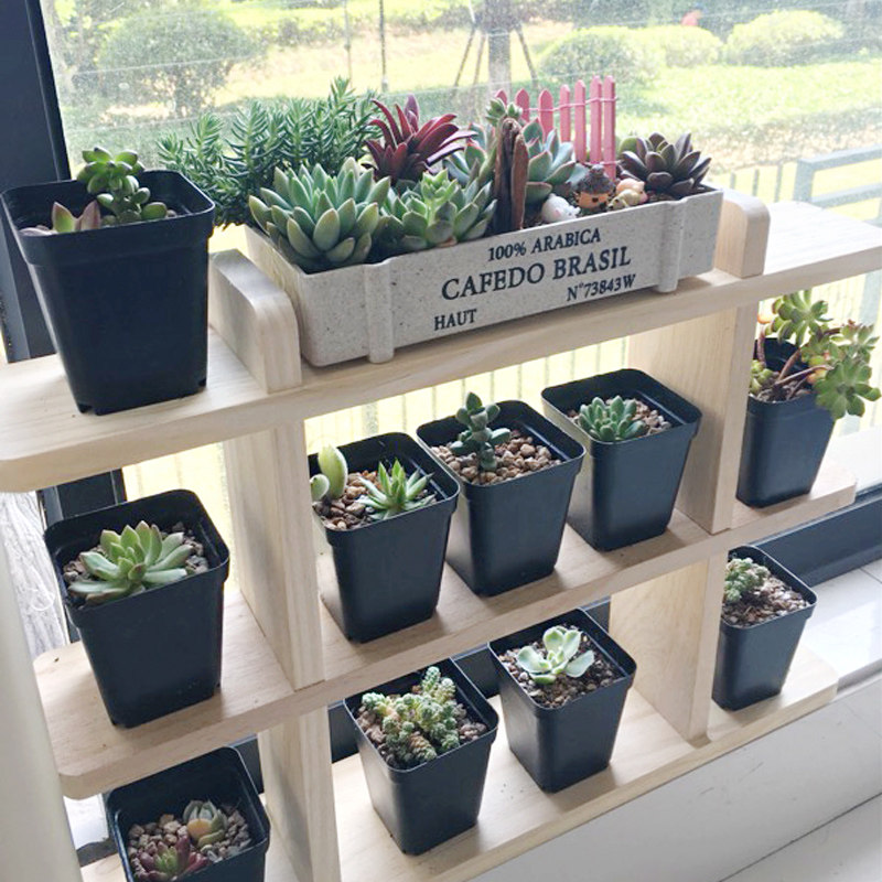 实木飘窗台多肉花架子多层室内客厅桌面小花架阳台V花盆架置物装,鲜花速递/花卉仿真/绿植园艺,花架,淘宝优惠券,粉丝福利购,淘宝优惠卷