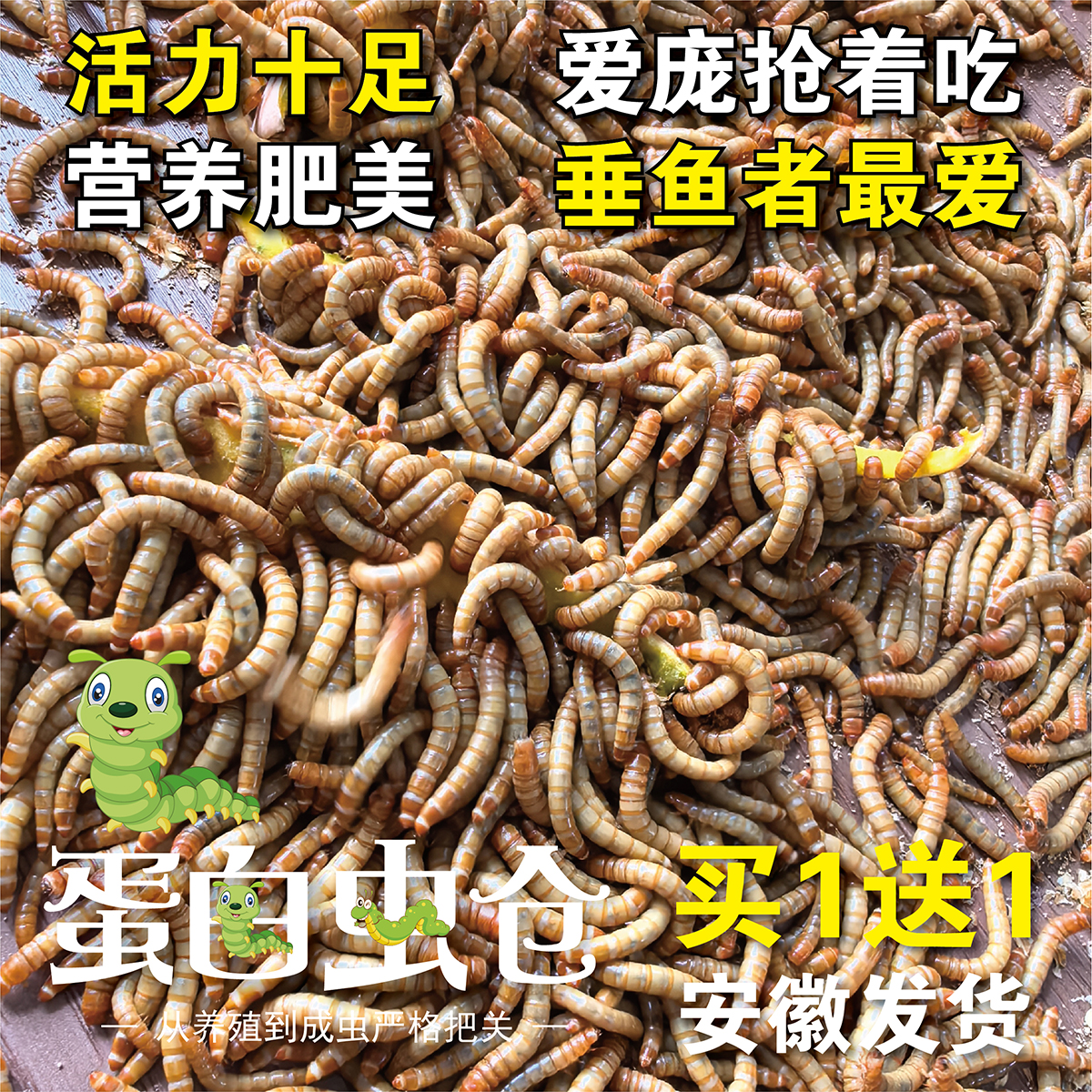 活体饲料黄粉虫面包虫守宫蜥蜴蜘蛛蝎子活食乌龟鱼饵画眉鸟粮包邮